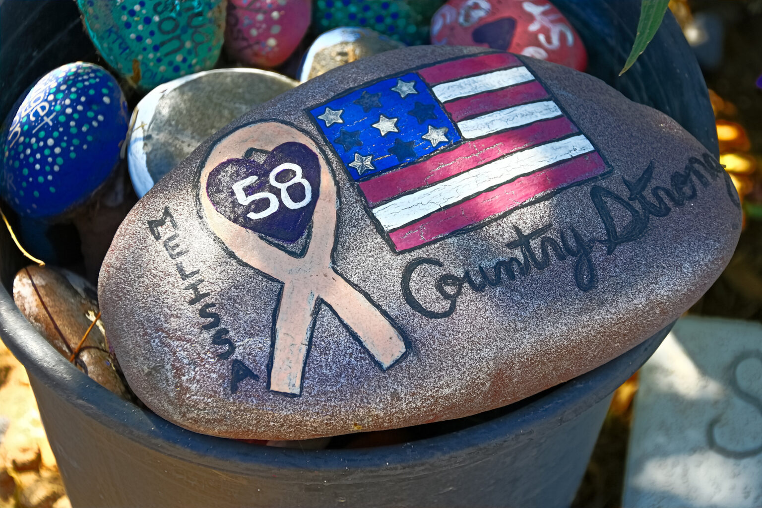 359 Clark County Students Hit by Cars Since School Year Began